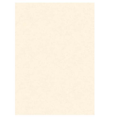 Diplomi in pergamena - stampa offset - A3 - 160 gr - neutro avorio - Kartos - conf. 10 pezzi