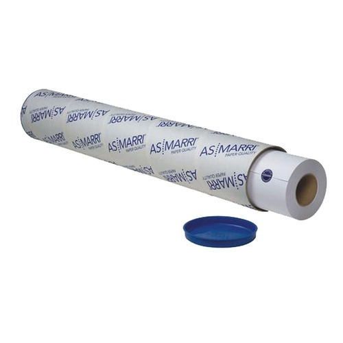 Tela naturale Color TNP - per plotter inkjet - 610 mm x12 mt - 350 gr -As Marri
