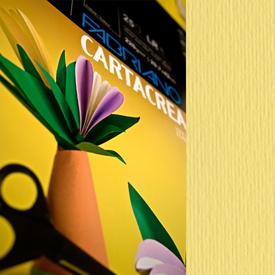 Cartoncino CartaCrea - 35x50cm - 220gr - onice 117 - Fabriano - blister10 fogli