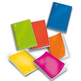 Quaderno Monocromo - A5 - 1 rigo - 70 fogli - 80gr - 4 fori - spiralato- Pigna