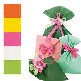 Busta regalo Mat Pearly B - 25 x 40 cm - 40 micron - PPL - assortimento5 colori - PNP - conf. 100 pezzi