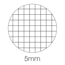 Blocco note Derby - 5mm - 100 x 150mm - 60gr - 70 fogli - BM