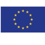 Bandiera Europa - poliestere nautico - 100x150 cm