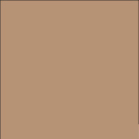 Cartine antigrasso per alimenti - 33 x 32,5 cm - avana - Leone - conf. 500 pezzi