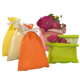 Busta regalo Spring - 20 x 32 cm - 45 gr - carta - 5 colori assortiti -PNP - conf. 50 pezzi