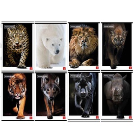 Maxiquaderno Animal - A4 - 4 mm - 42 fogli - 80 gr - Pigna